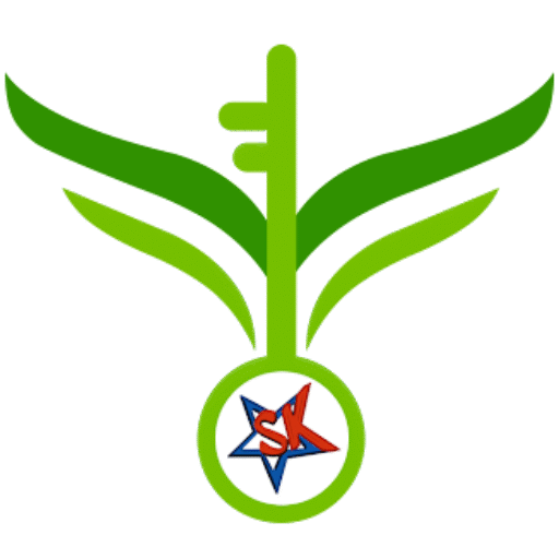 key to healthy life favicon