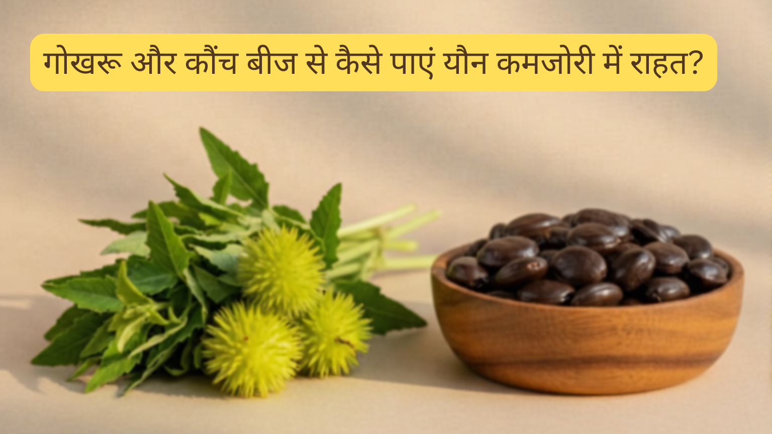 Read more about the article गोखरू और कौंच बीज से कैसे पाएं यौन कमजोरी में राहत?