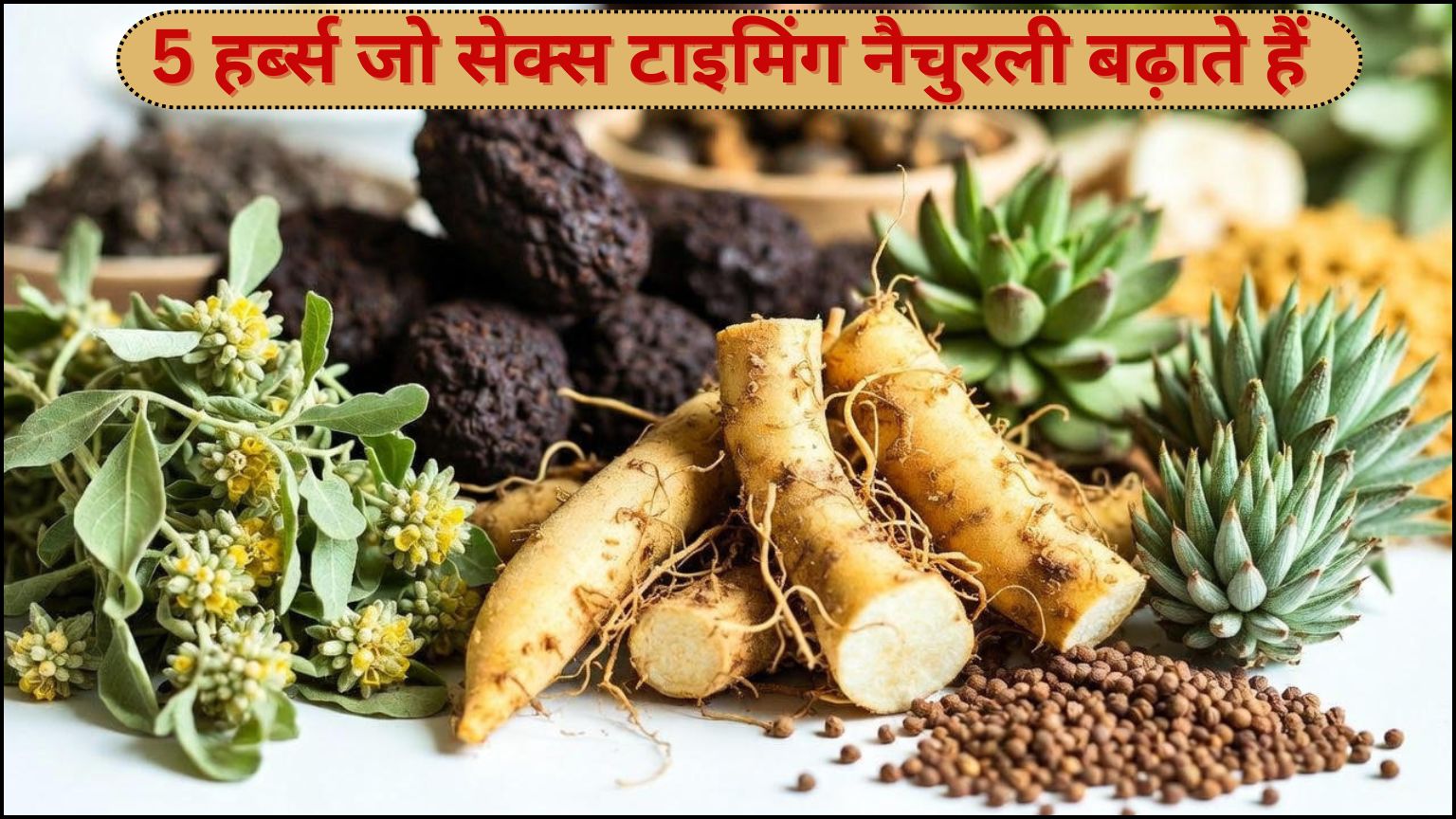 Read more about the article 5 हर्ब्स जो सेक्स टाइमिंग नैचुरली बढ़ाते हैं
