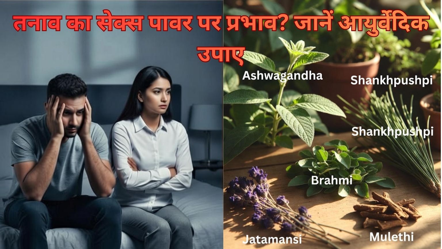 Read more about the article तनाव का सेक्स पावर पर प्रभाव? जानें आयुर्वेदिक उपाए