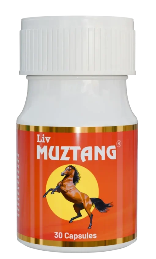 Liv Muztang Solution